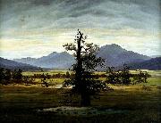 Caspar David Friedrich Village Landscape in Morning Light oil painting picture wholesale